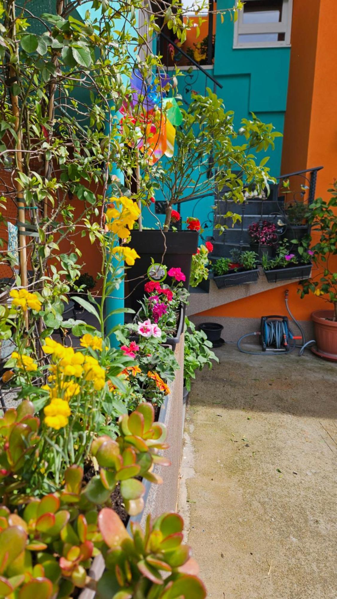 Mexicana Apartment Pink ซาดาร์ ภายนอก รูปภาพ