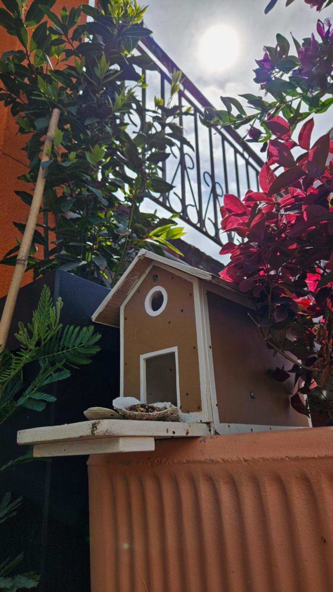Mexicana Apartment Pink ซาดาร์ ภายนอก รูปภาพ